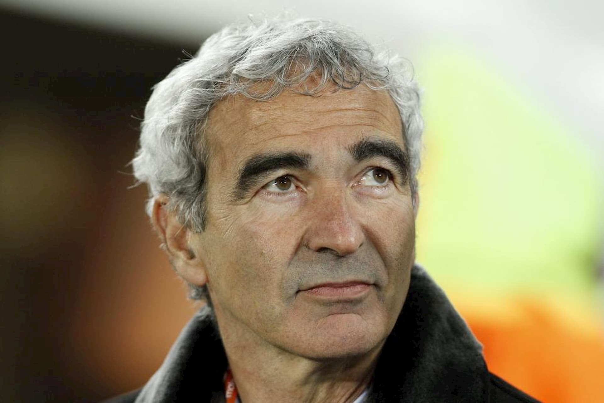 Quelles Sont Les Origines De Raymond Domenech